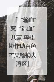 “输血”变“造血”共赢 粤桂协作助百色芒果畅销大湾区