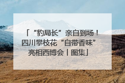 “豹局长”亲自到场！四川攀枝花“自带香味”亮相西博会丨图集