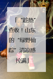 “趁热”查收！山东的“绿野仙踪”清凉感拉满