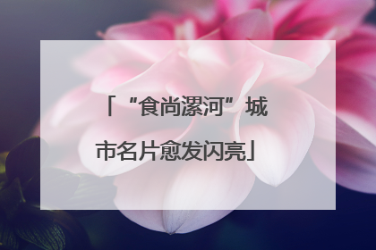 “食尚漯河”城市名片愈发闪亮