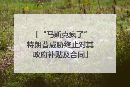 “马斯克疯了” 特朗普威胁终止对其政府补贴及合同