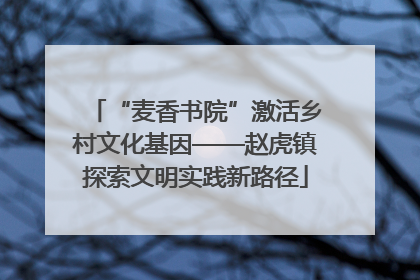 “麦香书院”激活乡村文化基因——赵虎镇探索文明实践新路径