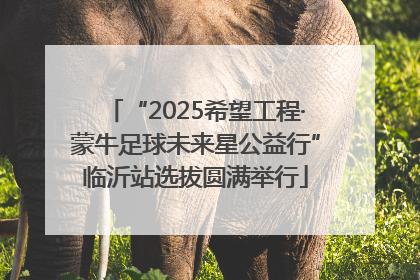 “2025希望工程·蒙牛足球未来星公益行”临沂站选拔圆满举行