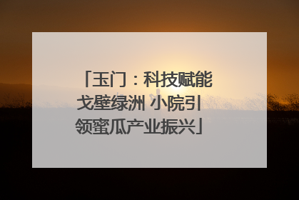 玉门：科技赋能戈壁绿洲 小院引领蜜瓜产业振兴