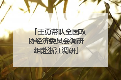 王勇带队全国政协经济委员会调研组赴浙江调研