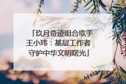 玖月奇迹组合歌手王小玮：基层工作者守护中华文明曙光