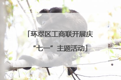 环翠区工商联开展庆“七一”主题活动