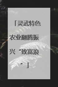 灵武特色农业翻腾振兴“致富浪”