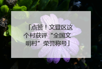 点赞！文登区这个村获评“全国文明村”荣誉称号