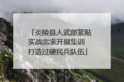 炎陵县人武部紧贴实战需求开展集训 打造过硬民兵队伍