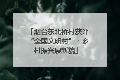 烟台东北桥村获评“全国文明村”：乡村振兴展新貌