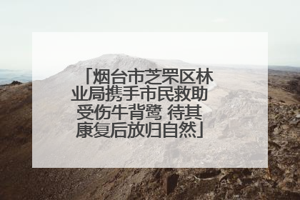烟台市芝罘区林业局携手市民救助受伤牛背鹭 待其康复后放归自然