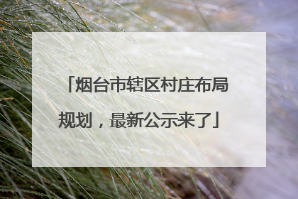 烟台市辖区村庄布局规划，最新公示来了