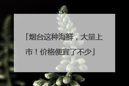 烟台这种海鲜，大量上市！价格便宜了不少