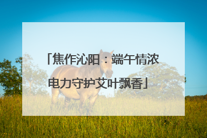 焦作沁阳：端午情浓 电力守护艾叶飘香