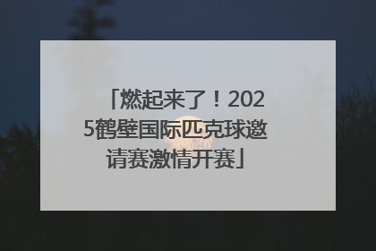 燃起来了！2025鹤壁国际匹克球邀请赛激情开赛