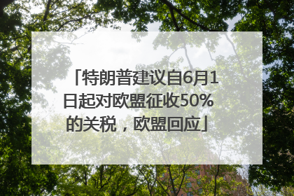 特朗普建议自6月1日起对欧盟征收50%的关税，欧盟回应
