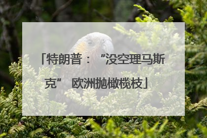 特朗普：“没空理马斯克” 欧洲抛橄榄枝