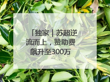 独家｜苏超逆流而上，赞助费飙升至300万，仍一席难求