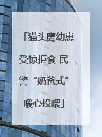 猫头鹰幼崽受惊拒食 民警“奶爸式”暖心投喂