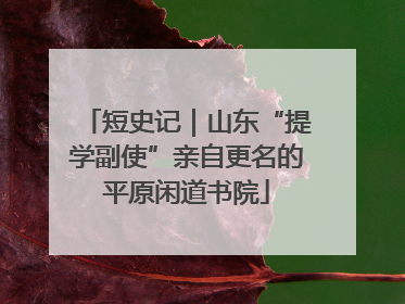 短史记｜山东“提学副使”亲自更名的平原闲道书院