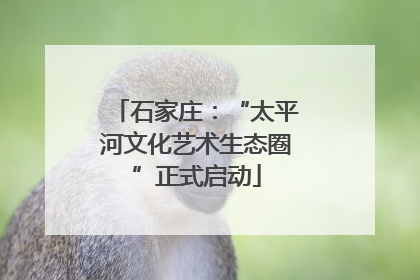 石家庄：“太平河文化艺术生态圈”正式启动