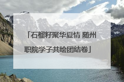 石榴籽聚华夏情 随州职院学子共绘团结卷