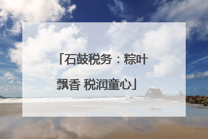 石鼓税务：粽叶飘香 税润童心