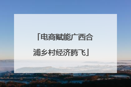 电商赋能广西合浦乡村经济腾飞