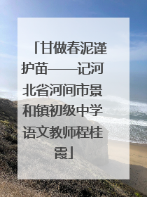 甘做春泥谨护苗——记河北省河间市景和镇初级中学语文教师程桂霞