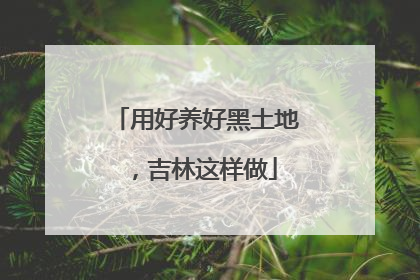 用好养好黑土地，吉林这样做
