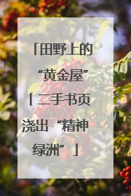 田野上的“黄金屋”丨二手书页浇出“精神绿洲”