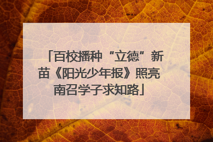百校播种“立德”新苗《阳光少年报》照亮南召学子求知路