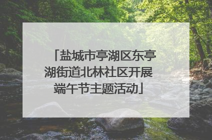 盐城市亭湖区东亭湖街道北林社区开展端午节主题活动