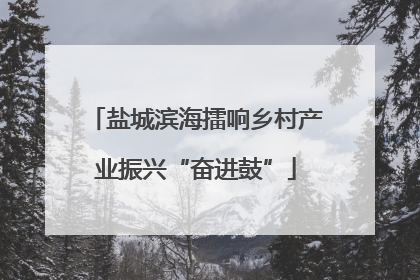 盐城滨海擂响乡村产业振兴“奋进鼓”