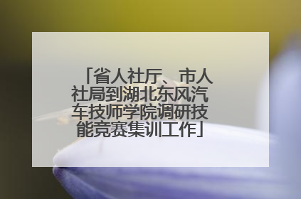 省人社厅、市人社局到湖北东风汽车技师学院调研技能竞赛集训工作