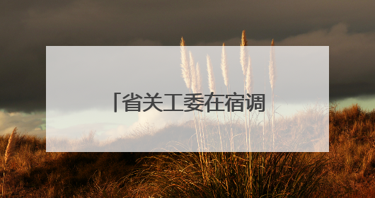 省关工委在宿调研预防和减少青少年违法犯罪工作