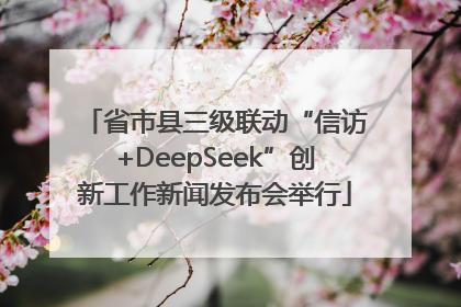 省市县三级联动“信访+DeepSeek”创新工作新闻发布会举行