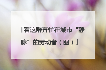 看这群奔忙在城市“静脉”的劳动者（图）