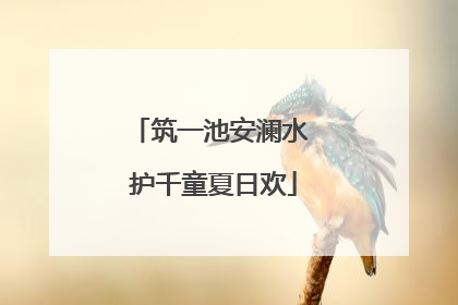 筑一池安澜水 护千童夏日欢