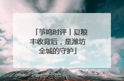筝鸣时评丨夏粮丰收背后，是潍坊全城的守护