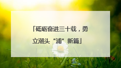 砥砺奋进三十载，勇立潮头“浦”新篇