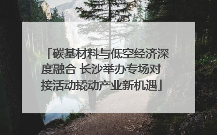 碳基材料与低空经济深度融合 长沙举办专场对接活动撬动产业新机遇