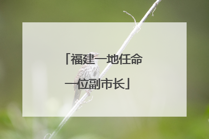 福建一地任命一位副市长