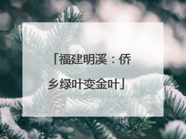 福建明溪：侨乡绿叶变金叶