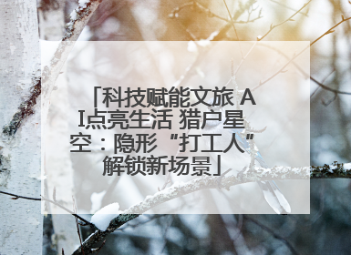 科技赋能文旅 AI点亮生活 猎户星空：隐形“打工人”解锁新场景