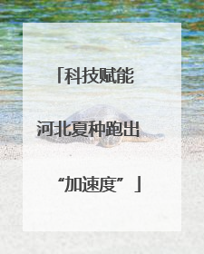 科技赋能 河北夏种跑出“加速度”