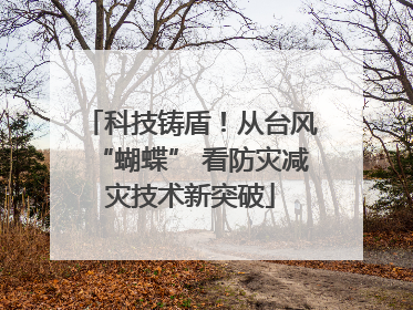 科技铸盾！从台风“蝴蝶” 看防灾减灾技术新突破
