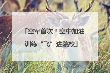空军首次！空中加油训练“飞”进院校