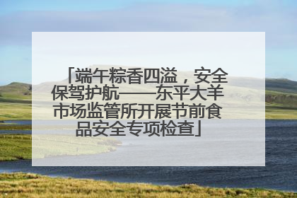 端午粽香四溢，安全保驾护航——东平大羊市场监管所开展节前食品安全专项检查